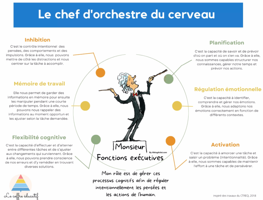 cerveau chef d orchestre